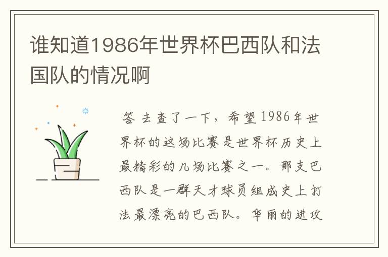 谁知道1986年世界杯巴西队和法国队的情况啊