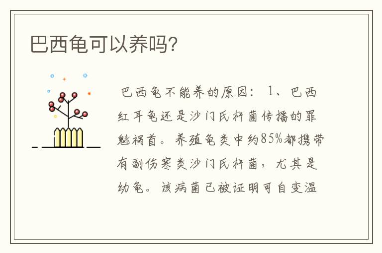 巴西龟可以养吗？