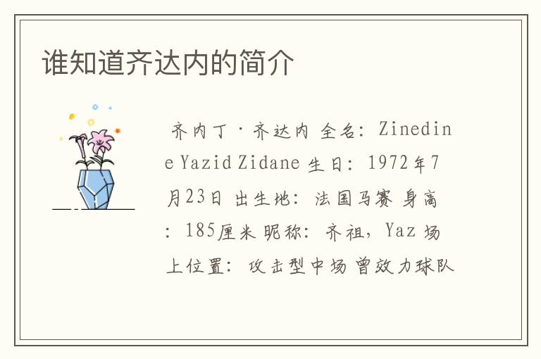谁知道齐达内的简介