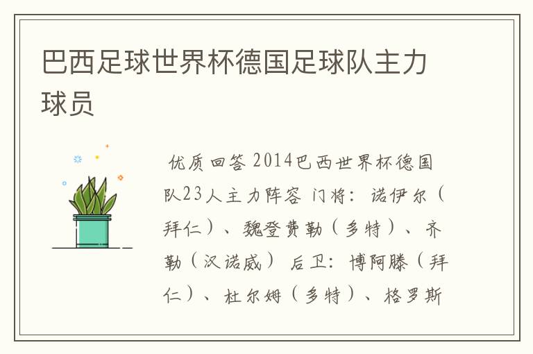 巴西足球世界杯德国足球队主力球员