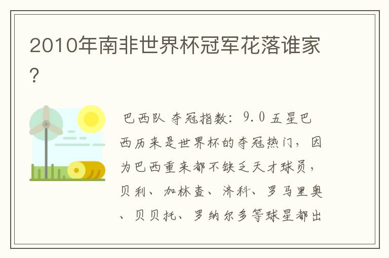 2010年南非世界杯冠军花落谁家?