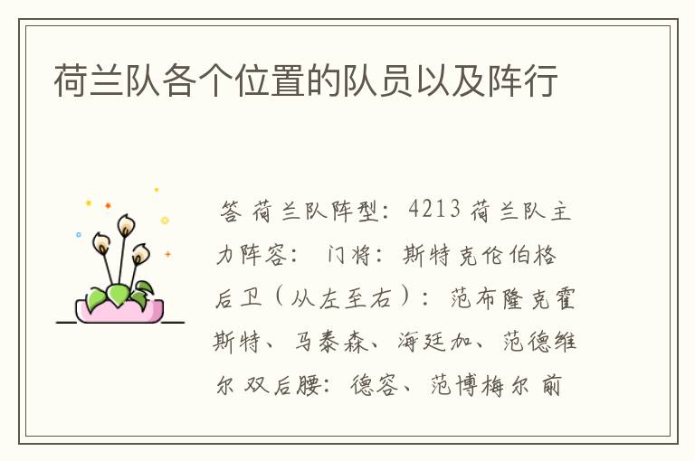 荷兰队各个位置的队员以及阵行