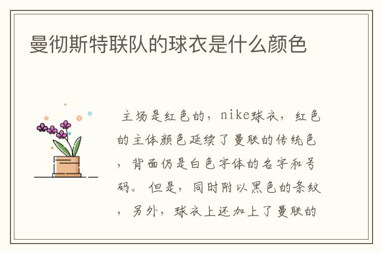 曼彻斯特联队的球衣是什么颜色