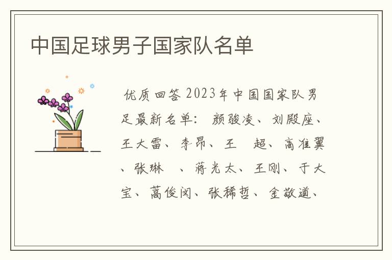 中国足球男子国家队名单