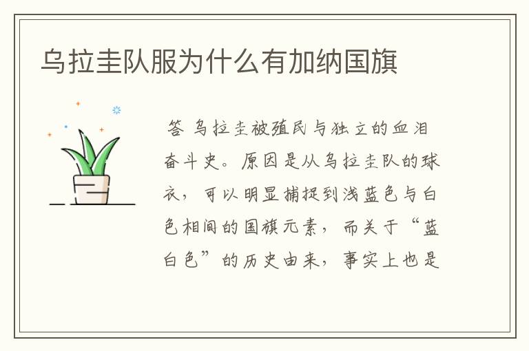 乌拉圭队服为什么有加纳国旗