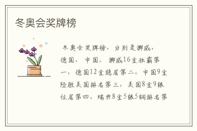 冬奥会奖牌榜