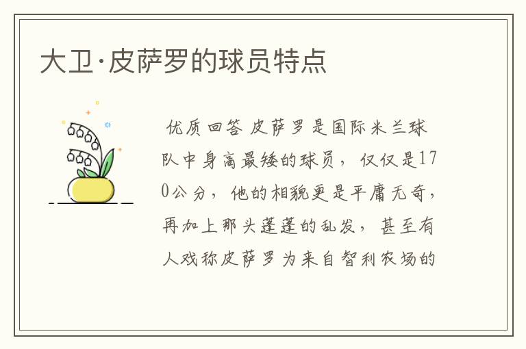大卫·皮萨罗的球员特点