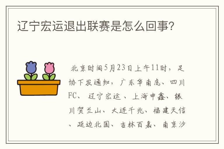 辽宁宏运退出联赛是怎么回事?