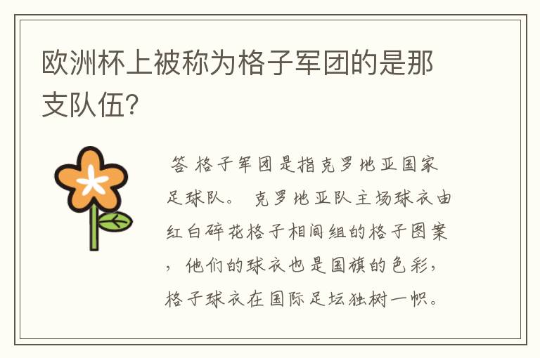 欧洲杯上被称为格子军团的是那支队伍?
