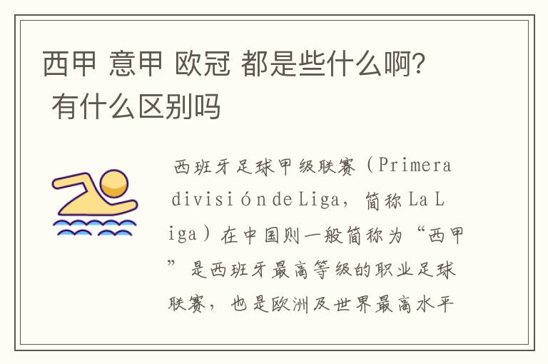 西甲 意甲 欧冠 都是些什么啊? 有什么区别吗