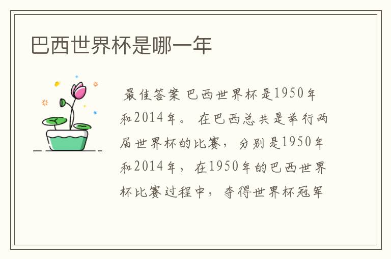 巴西世界杯是哪一年