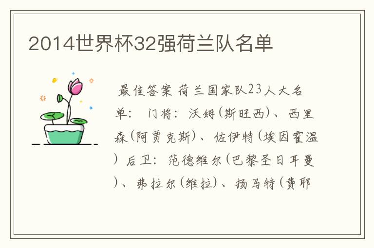 2014世界杯32强荷兰队名单