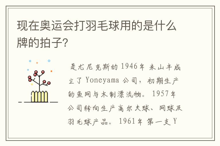 现在奥运会打羽毛球用的是什么牌的拍子?