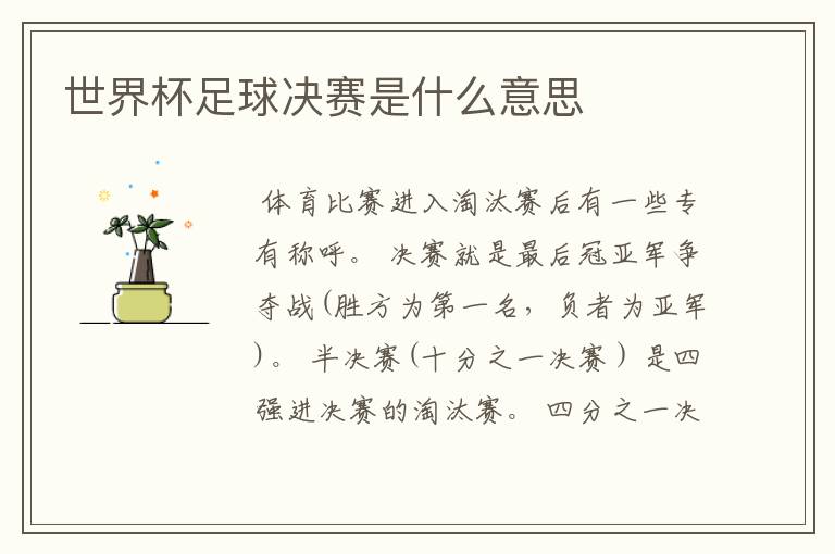 世界杯足球决赛是什么意思