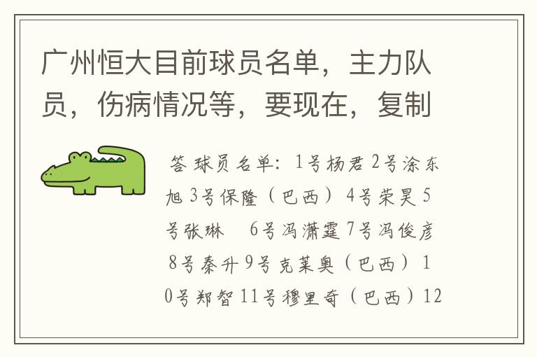 广州恒大目前球员名单,主力队员,伤病情况等,要现在,复制的别来!