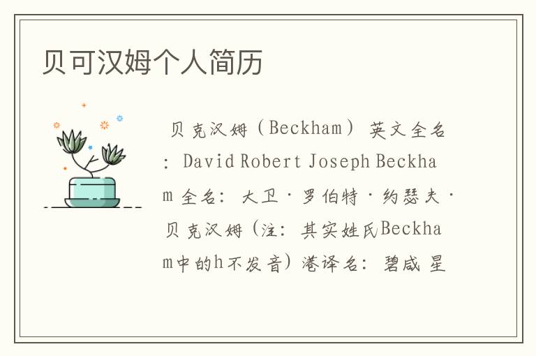 贝可汉姆个人简历
