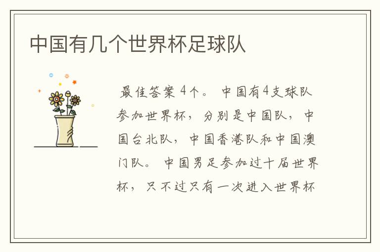 中国有几个世界杯足球队