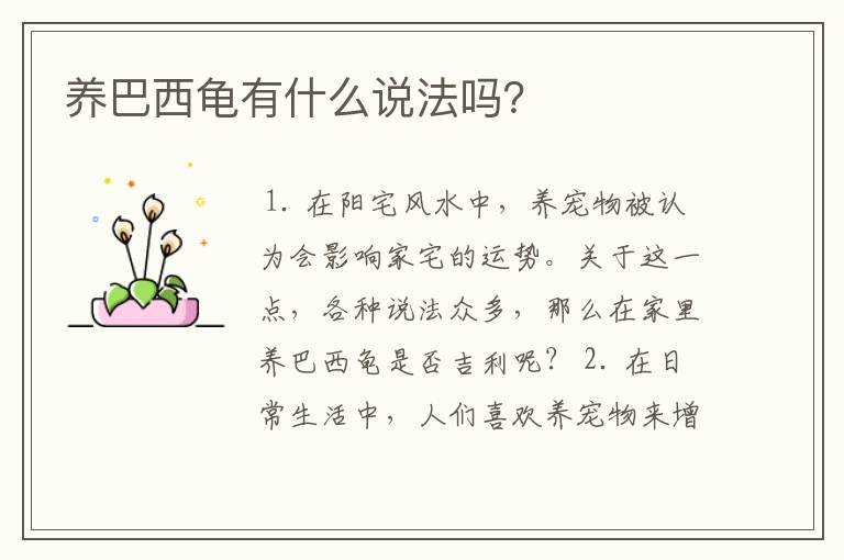 养巴西龟有什么说法吗?