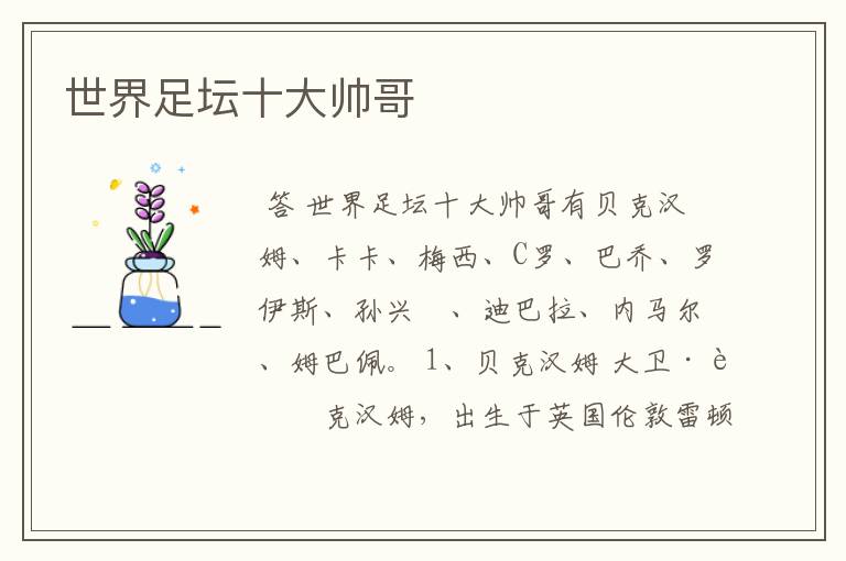 世界足坛十大帅哥