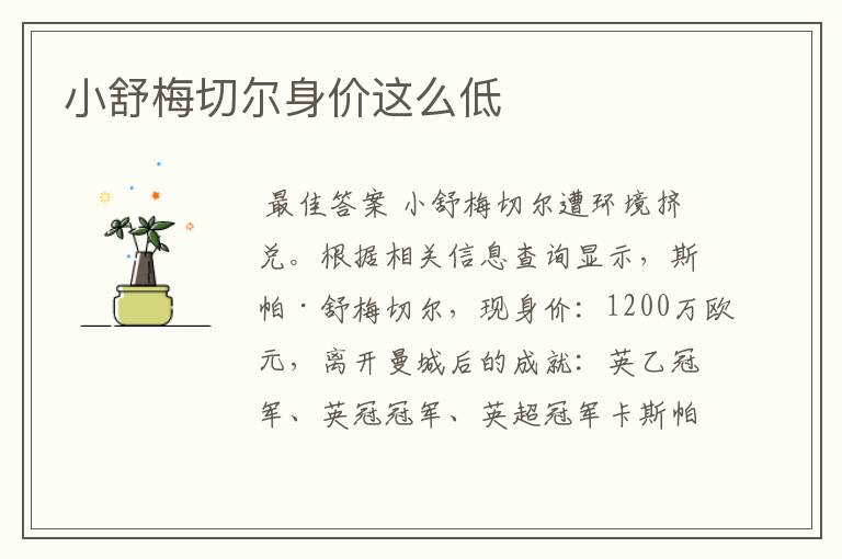 小舒梅切尔身价这么低
