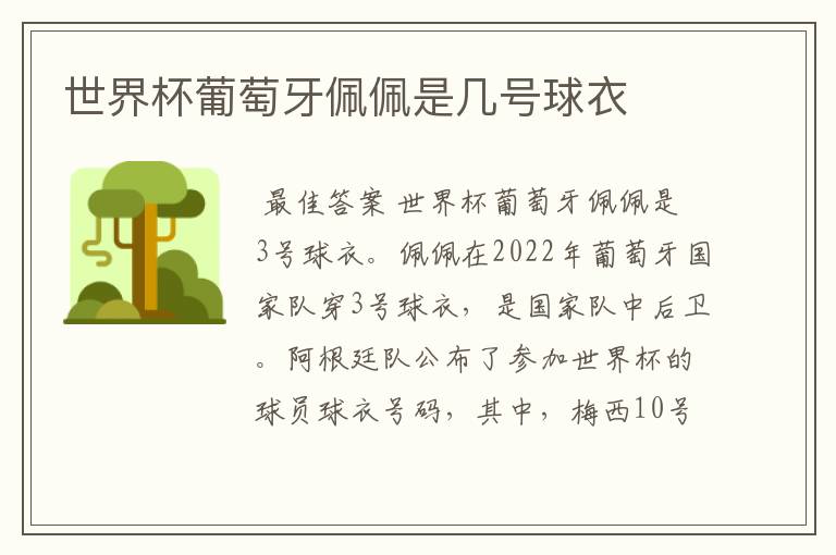 世界杯葡萄牙佩佩是几号球衣