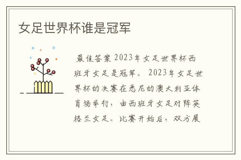 女足世界杯谁是冠军
