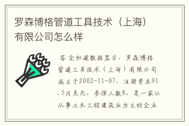 罗森博格管道工具技术(上海)有限公司怎么样