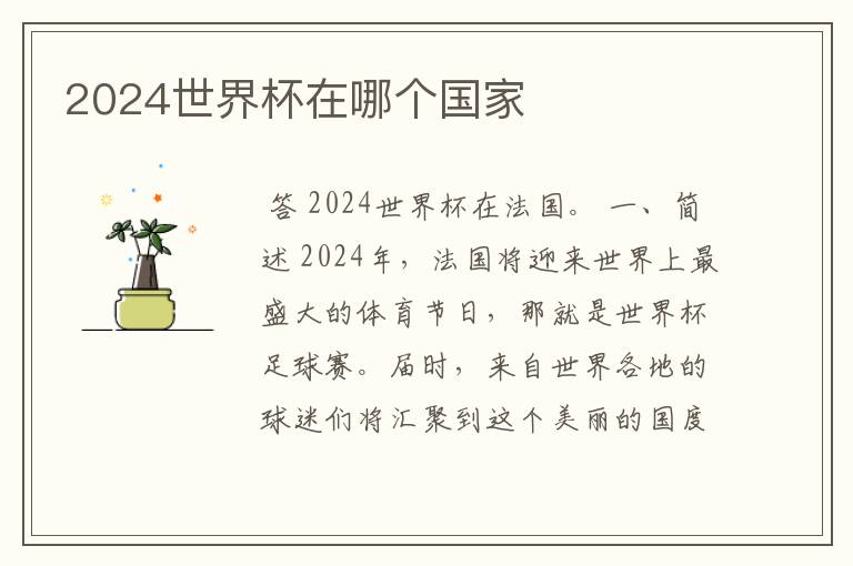2024世界杯在哪个国家