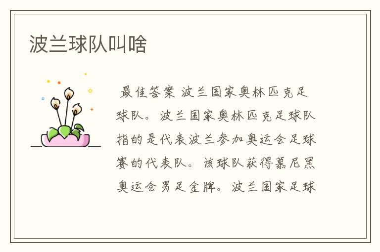 波兰球队叫啥