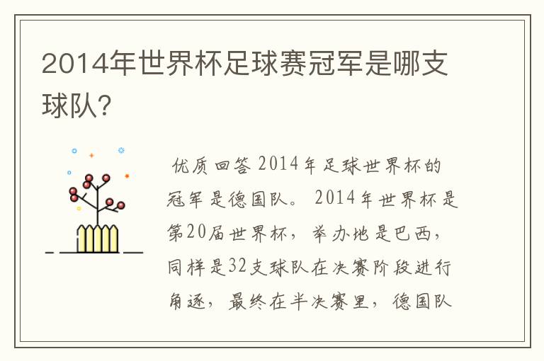 2014年世界杯足球赛冠军是哪支球队?