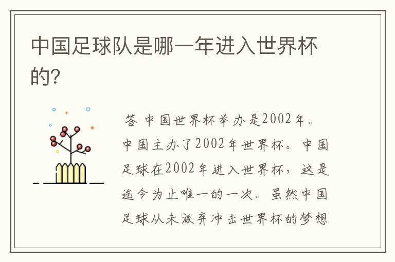 中国足球队是哪一年进入世界杯的?