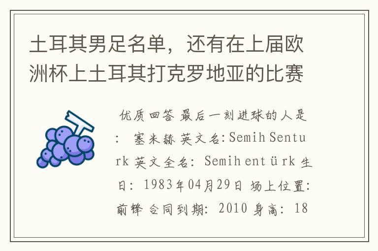 土耳其男足名单,还有在上届欧洲杯上土耳其打克罗地亚的比赛,到最后一刻进球的人是谁?