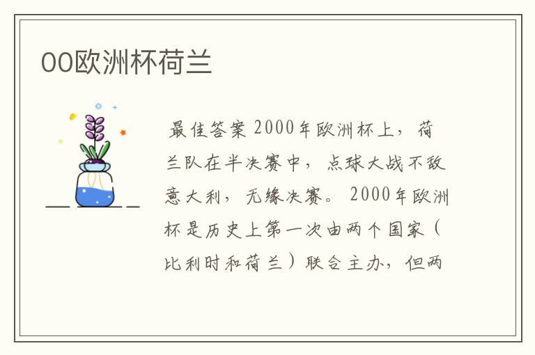 00欧洲杯荷兰