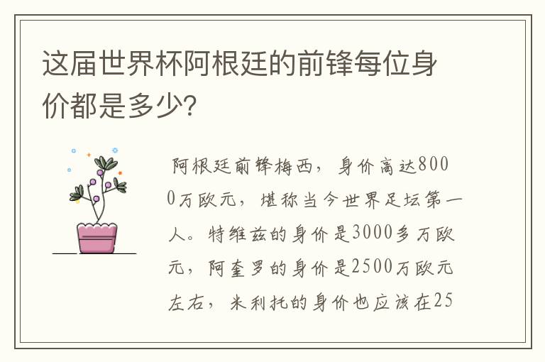 这届世界杯阿根廷的前锋每位身价都是多少?