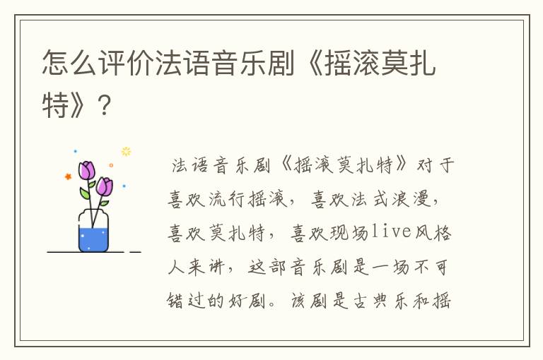怎么评价法语音乐剧《摇滚莫扎特》?