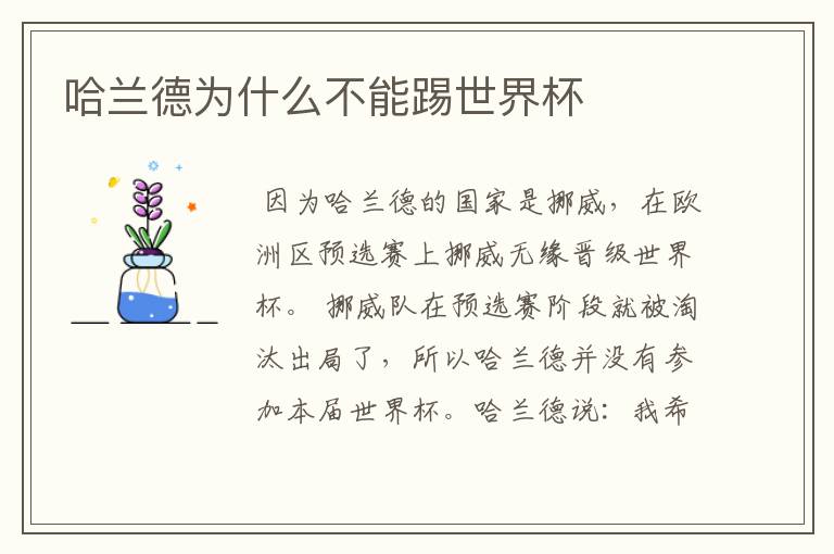 哈兰德为什么不能踢世界杯