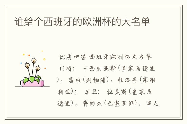 谁给个西班牙的欧洲杯的大名单
