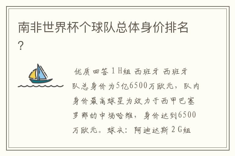 南非世界杯个球队总体身价排名?