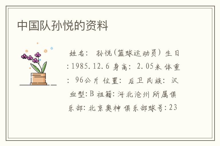 中国队孙悦的资料