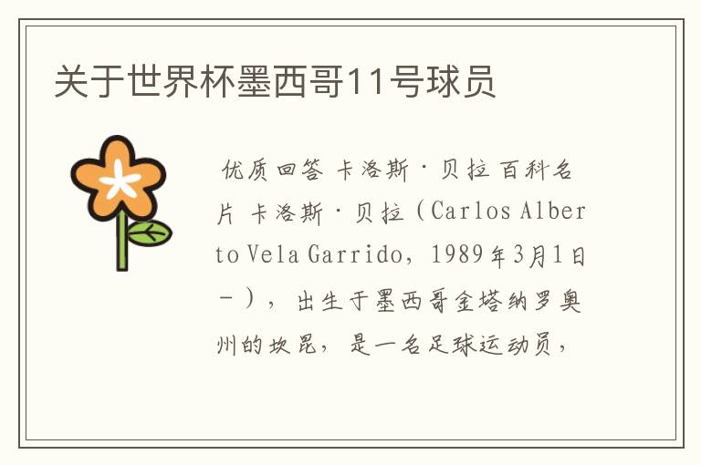 关于世界杯墨西哥11号球员