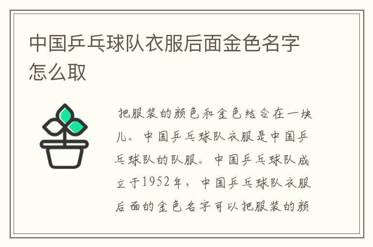 中国乒乓球队衣服后面金色名字怎么取