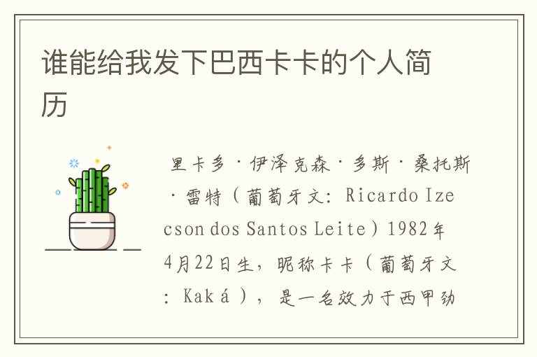 谁能给我发下巴西卡卡的个人简历