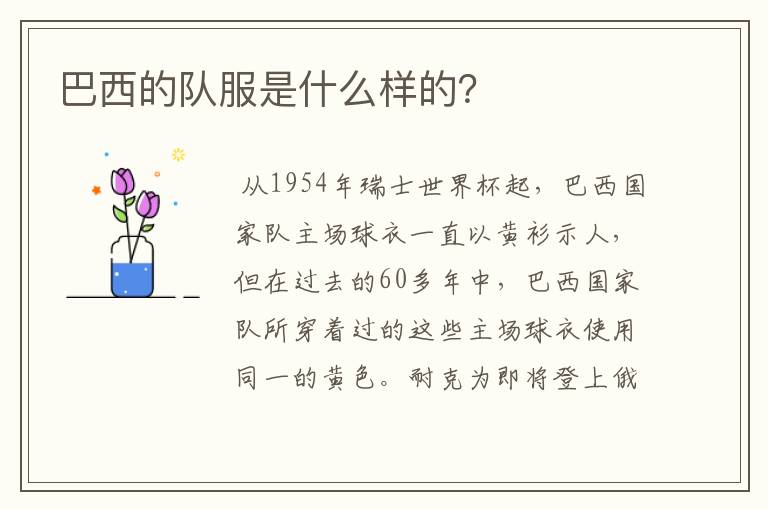 巴西的队服是什么样的?