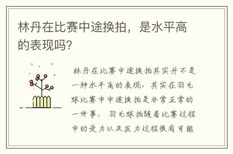 林丹在比赛中途换拍,是水平高的表现吗?