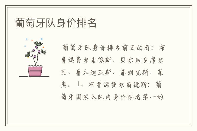 葡萄牙队身价排名