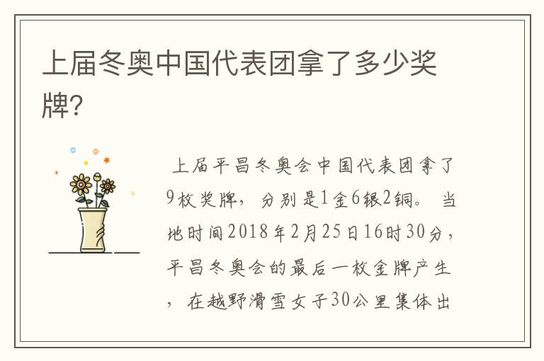 上届冬奥中国代表团拿了多少奖牌?