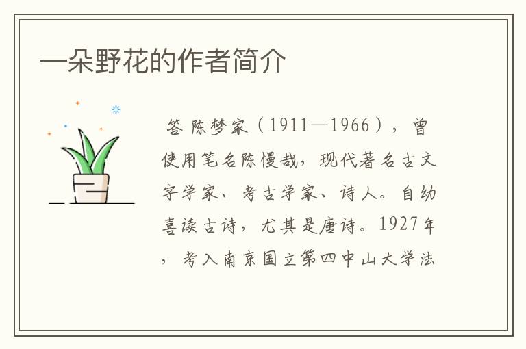 —朵野花的作者简介