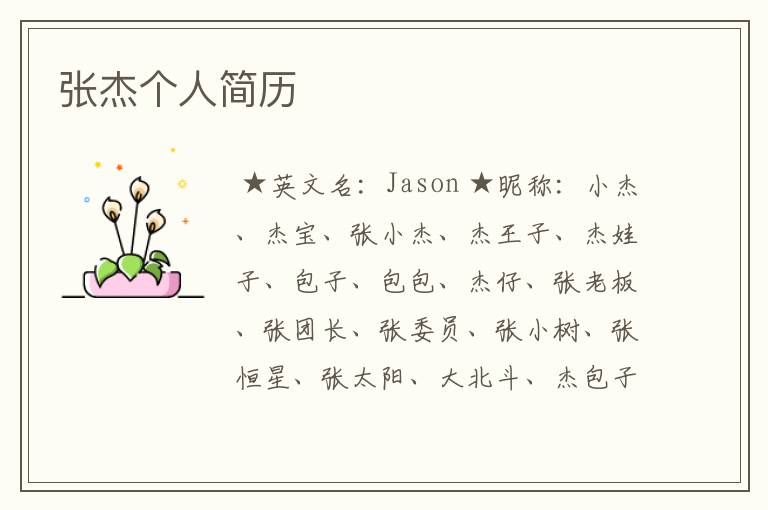 张杰个人简历