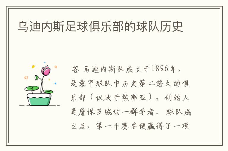 乌迪内斯足球俱乐部的球队历史