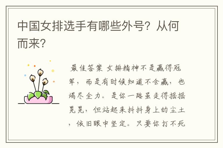 中国女排选手有哪些外号?从何而来?